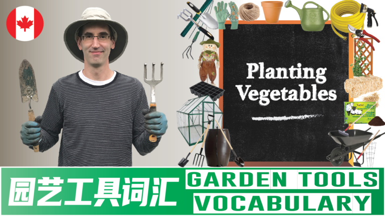 Planting Vegetables