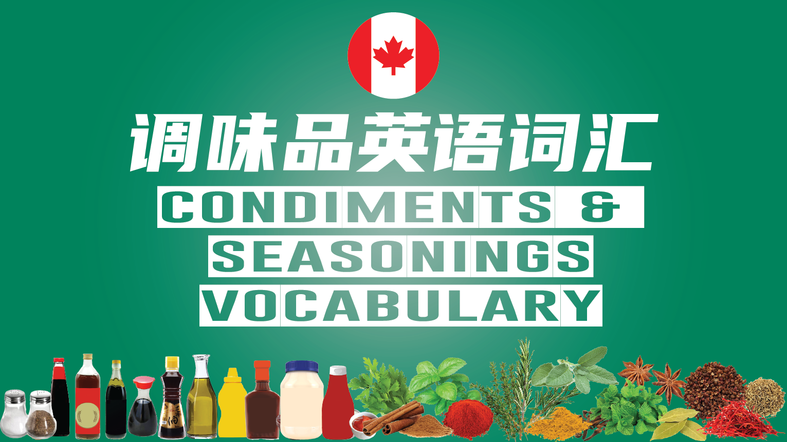 Condiments and Seasonings Vocabulary
